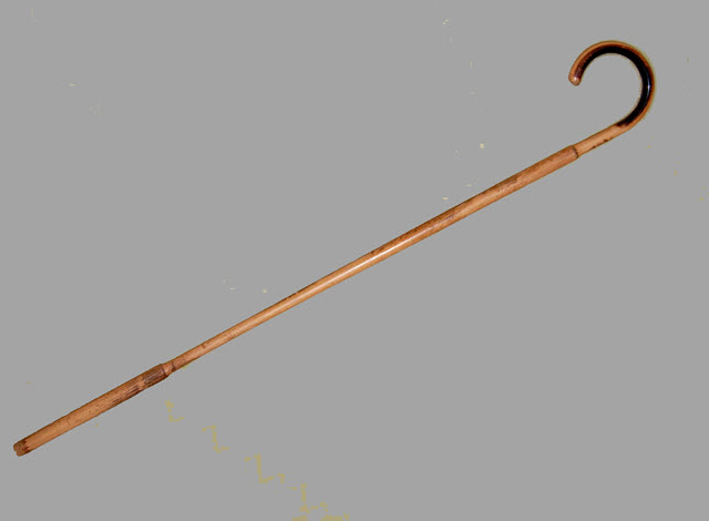 Cane - a walking stick