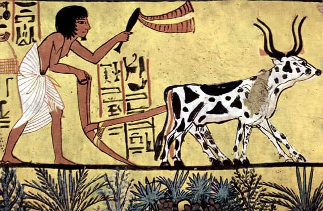 An art depicting Ancient Egyptian ploughing