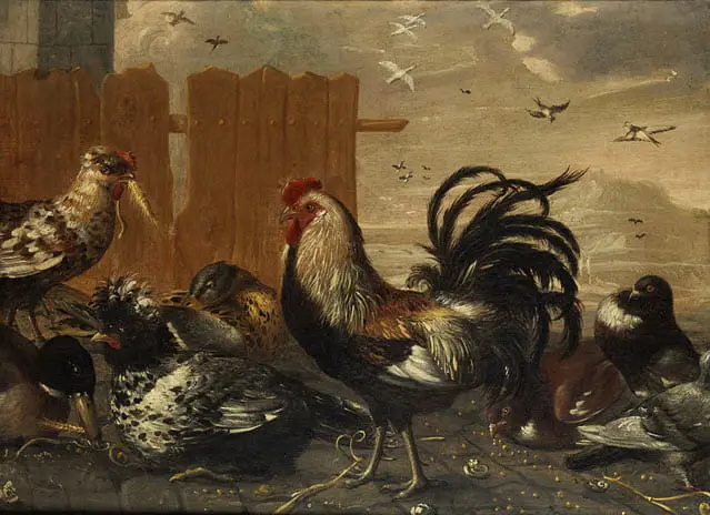 A depiction of a rooster