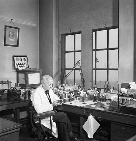 Alexander-Fleming-in-his-Laboratory-at-St-Marys-Hospital-London