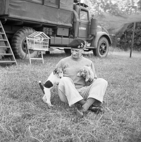 General Montgomery with his puppies Hitler in left and Rommel
