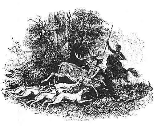 Pwyll King of Dyfed hunting with his hounds